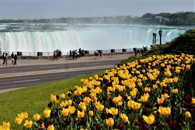 Day-Trip from Toronto to Niagara Falls with skip-the-line boat - Horseshoe Falls stop: quick photo time with real payoff