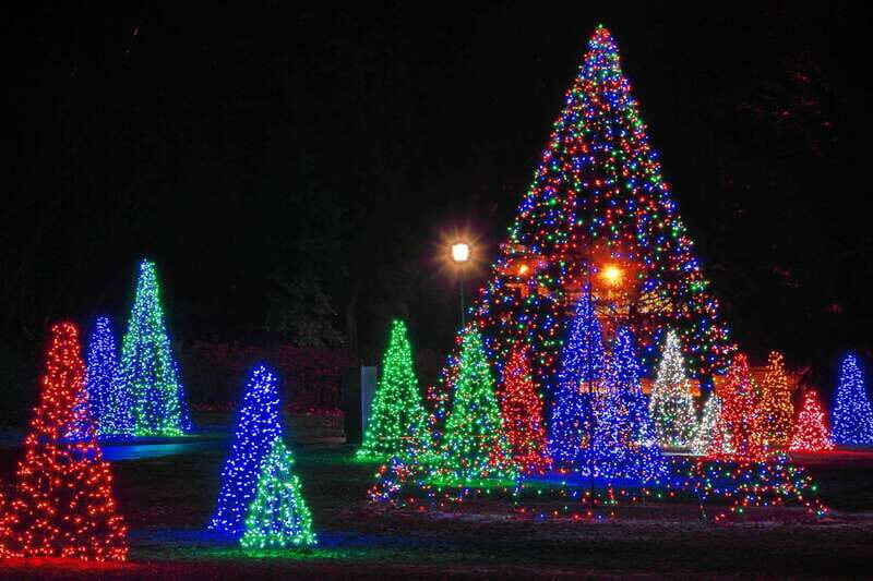 From Toronto: Winter Festival of Lights Niagara Falls Tour - Price and Value: Is $78 Good for This Day Trip?