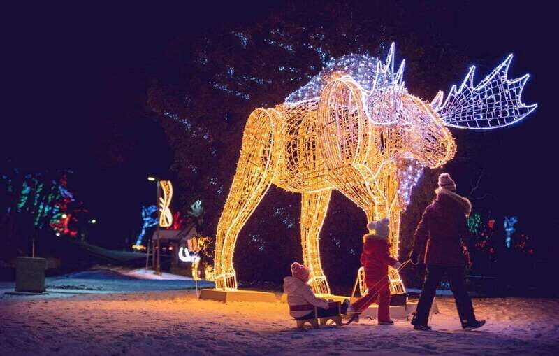 From Toronto: Winter Festival of Lights Niagara Falls Tour - Niagara Parkway Stops: Floral Clock to Whirlpool Views