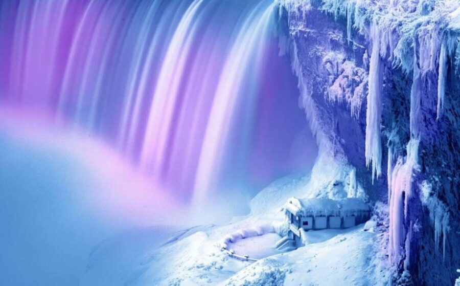 From Toronto: Winter Wonder of Niagara Falls Tour - Floral Showhouse and the Floral Clock: Color When It’s Cold Outside