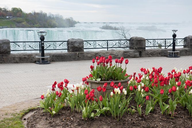 Full-Day Niagara Falls Tour from Toronto w/Boat/JBF/Tower - Optional Hornblower boat ride: the close-up payoff
