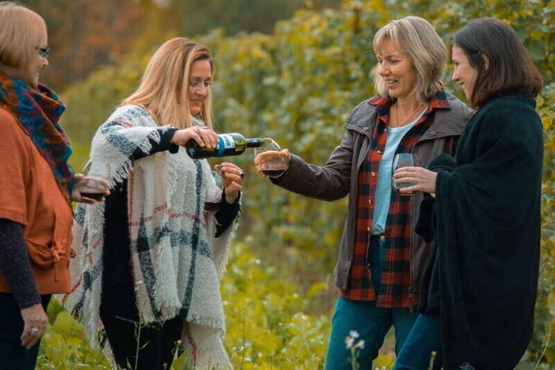 Niagara, Canada: Half-Day Winery Tour with Tastings - The Tasting Trio: Pillitteri, Lakeview, and Niagara College