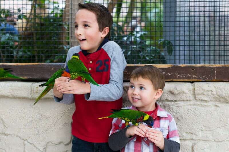 Niagara Falls, Canada: Bird Kingdom Entry Ticket - Night Jungle ruins: where the quieter parts pay off