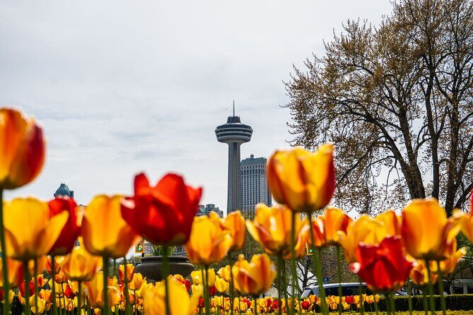 Niagara Falls Canada: Helicopter + Boat + Lunch & more US Pick-up - A scenic history stop with monuments and Niagara River views