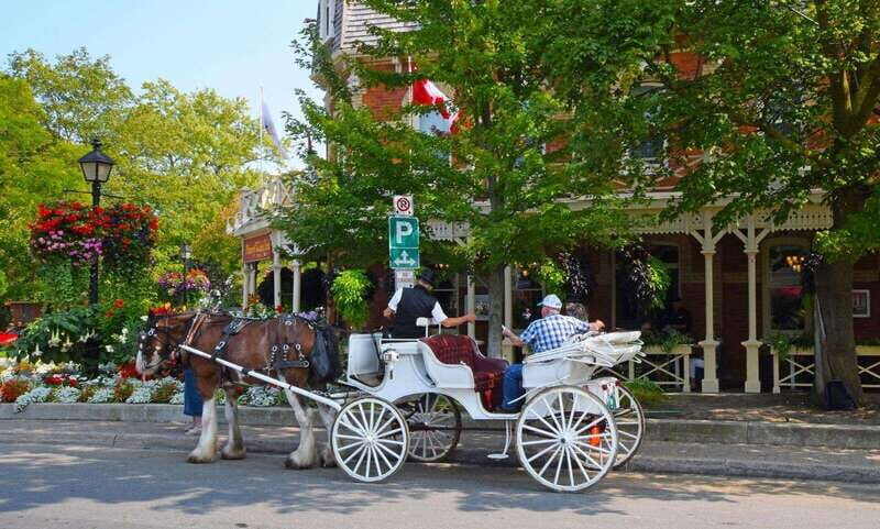 Niagara Falls: Canada with a Portuguese-speaking guide - Who this tour suits best (and who might not love it)