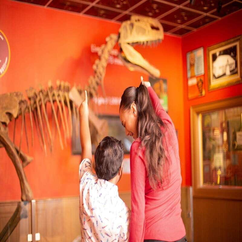 Niagara Falls: Ripley's Believe It or Not! Museum Entry - Inside Ripley’s Odditorium: how you’ll experience the 800+ bizarre artifacts