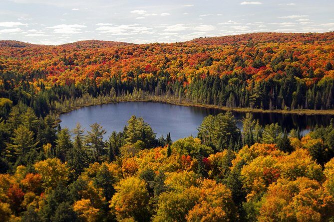 Niagara Falls Sightseeing Day Tour from Toronto with Boat Cruise - Niagara-on-the-Lake Heritage District: your one hour of calmer charm