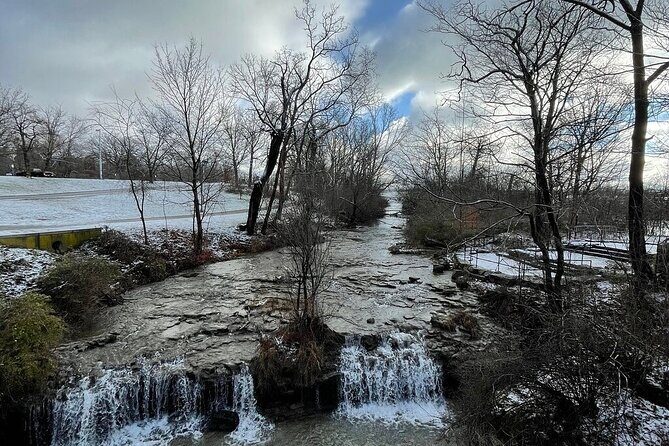 Niagara Falls USA Winter Wonderland State Park Tour with Pickup - Who This Winter Wonderland Tour Is Best For