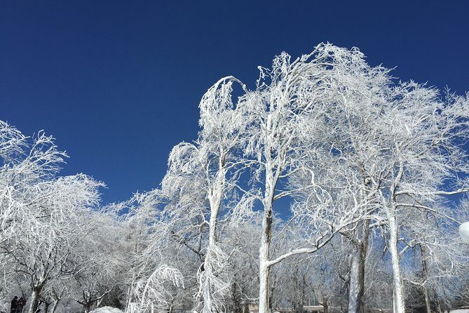 Niagara Falls Winter Wonderland Small Group Tour - Stop 2: Whirlpool State Park in Icy Conditions