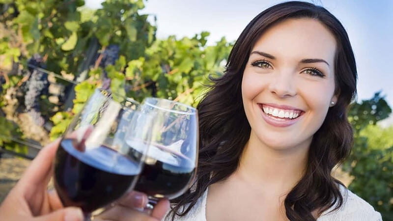 Niagara-on-the-Lake: Sunset Wine Tour with Dinner - Key Points to Know Before You Go