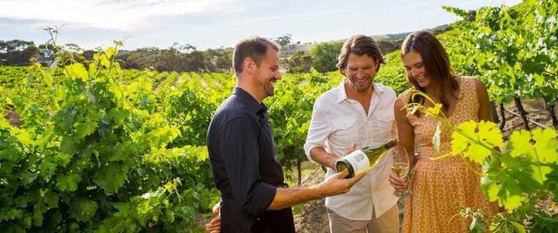 Niagara-on-the-Lake: Sunset Wine Tour with Dinner - Tips to Make Your Day Go Smoothly