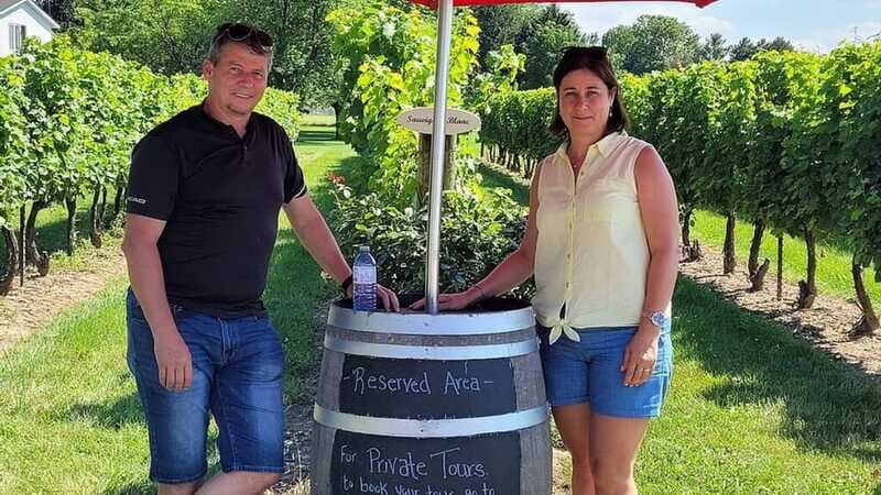 Niagara-on-the-Lake: Sunset Wine Tour with Dinner - Should You Book This Tour?