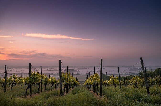 Private Customizable Niagara Winery Tour from Niagara Falls, NY - Stop structure: Heritage District first, then your winery choices