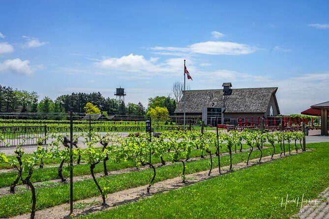 Private Customizable Niagara Winery Tour from Niagara Falls, NY - Group size rules that affect how you book