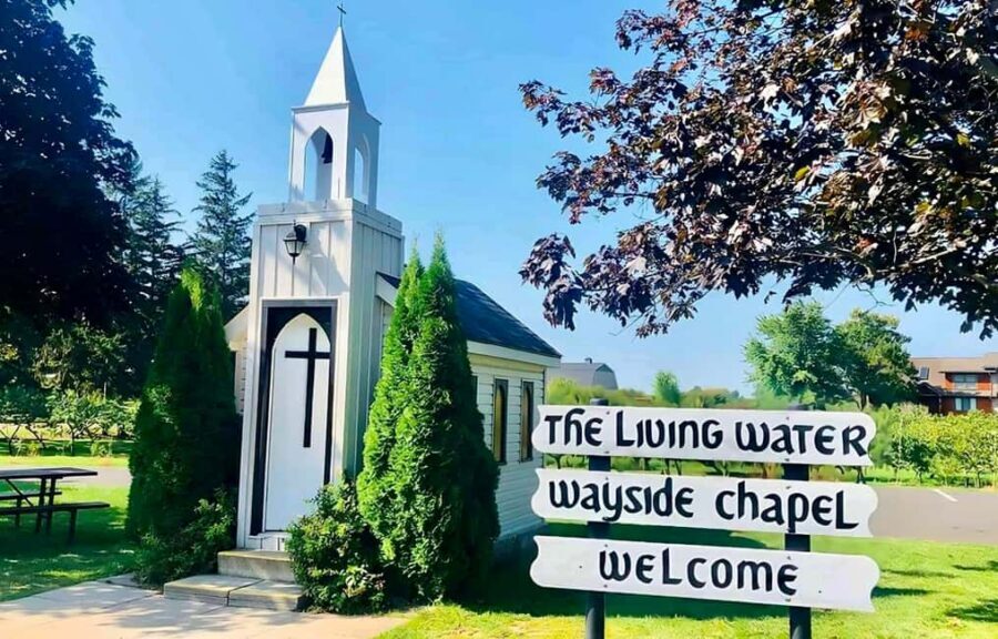 Toronto: Niagara-on-the-Lake, Wine Tasting & Chocolate Tour - Jackson Triggs Estate Winery: Vineyard Tour and Icewine Tastings