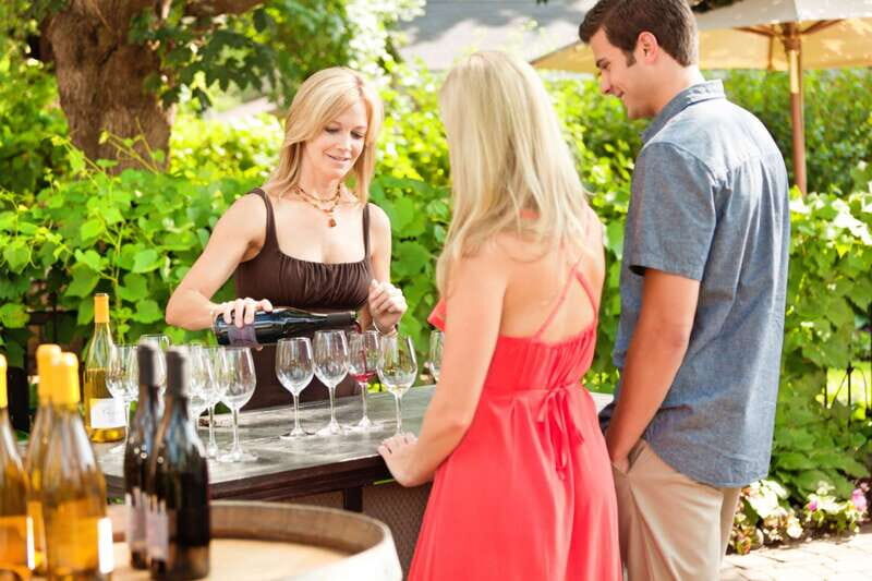 Toronto: Niagara Wineries Tasting Tour & Optional Lunch - Small-Group Reality: What Improves Your Experience Fast